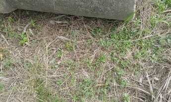 Imagem: SITIO RURAL em RIO BONITO - RJ, RIO DOS