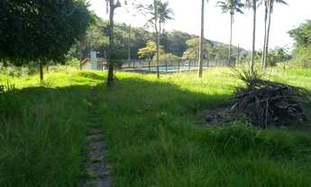 Imagem: SITIO RURAL em SILVA JARDIM - RJ, Boqueirão