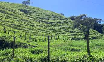 Imagem: FAZENDA RURAL em RIO BONITO - RJ, PRAÇA