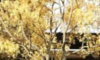 Imagem 2: APARTAMENTO RESIDENCIAL em São Paulo - SP, Ibirapuera