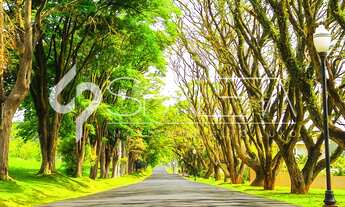 Imagem 7: Lote próximo a quadra poliesportiva à venda na Fazenda Serrazul I