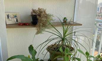 Imagem 5: APARTAMENTO RESIDENCIAL em Sao Paulo - SP, Vila Prudente