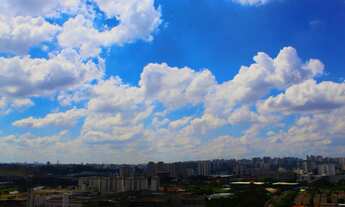 Imagem 6: APARTAMENTO RESIDENCIAL em SÃO PAULO - SP, SANTO AMARO