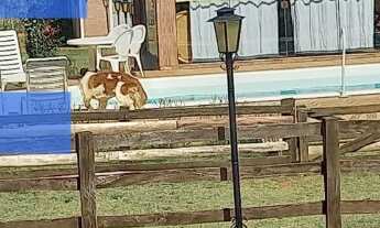 Imagem 4: CHACARA TEMPORADA em BOFETE - SP, Agua Fria