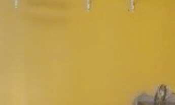 Imagem 3: Casa Térrea com 2 dormitórios na Mooca