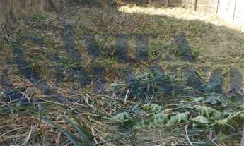 Imagem 3: Terreno no Jardim Textil