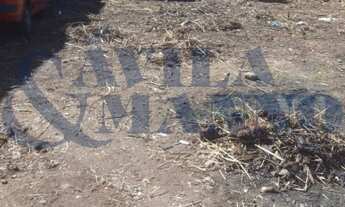 Imagem 4: Terreno no Jardim Textil