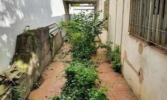 Imagem: 3 dormitórios na Rua Rui Martins
