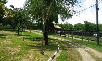 Imagem 4: HARAS COM/RES em Paulinia - SP, Betel