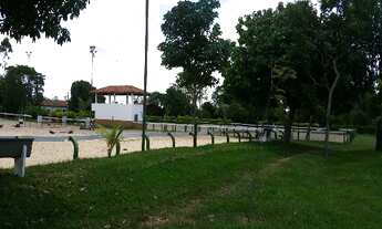 Imagem 6: HARAS COM/RES em Paulinia - SP, Betel
