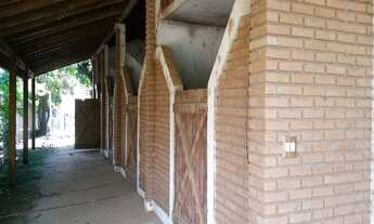 Imagem 7: HARAS COM/RES em Paulinia - SP, Betel