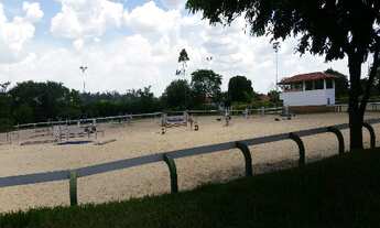 Imagem 2: HARAS COM/RES em Paulinia - SP, Betel
