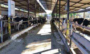Imagem: FAZENDA RURAL em Pouso Alegre - MG, Zona