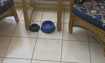 Imagem 6: OSASCO - Apartamento 3 Dormitórios (1 Suíte) 74 m² 1 Vaga - Condomínio INOVA São Francisco