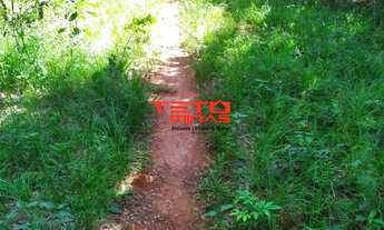 Imagem 5: AREA RURAL em TRÊS MARIAS - MG, 3 km margeando Rio São Francisco