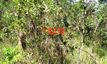 Imagem 7: AREA RURAL em TRÊS MARIAS - MG, 3 km margeando Rio São Francisco
