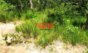 Imagem 6: AREA RURAL em TRÊS MARIAS - MG, 3 km margeando Rio São Francisco