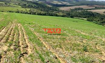 Imagem 7: FAZENDA RURAL em SÃO LOURENÇO - MG, Zona Rural de Zona Rural de Ipuiuna