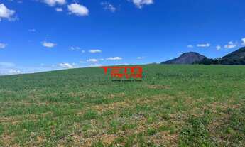 Imagem 2: FAZENDA RURAL em SÃO LOURENÇO - MG, Zona Rural de Zona Rural de Ipuiuna