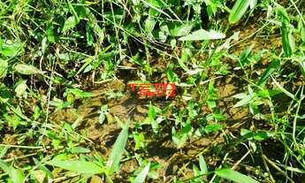Imagem 6: TERRENO RESIDENCIAL em SÃO LOURENÇO - MG, 1,7 km do Parque das Águas