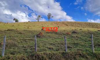 Imagem 4: CHACARA RURAL em POUSO ALTO - MG, Zona Rural