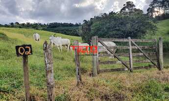 Imagem 6: FAZENDA RURAL em SANTO ANTÔNIO DO AMPARO - MG, AMPARO