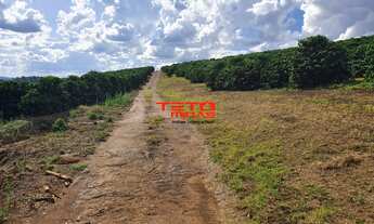 Imagem 7: FAZENDA RURAL em SANTO ANTÔNIO DO AMPARO - MG, AMPARO