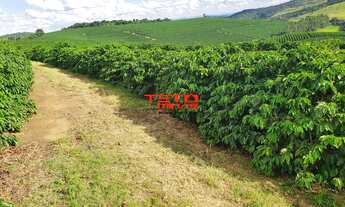 Imagem 5: FAZENDA RURAL em SANTO ANTÔNIO DO AMPARO - MG, AMPARO