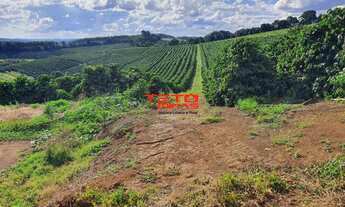 Imagem 4: FAZENDA RURAL em SANTO ANTÔNIO DO AMPARO - MG, AMPARO