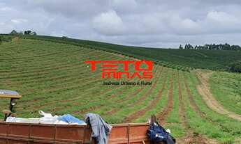 Imagem 7: FAZENDA RURAL em MUZAMBINHO - MG, MUZAMBINHO