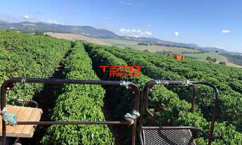 Imagem 5: FAZENDA RURAL em PIUMHI - MG, PIUMHI