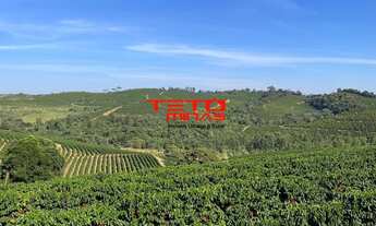 Imagem 6: FAZENDA RURAL em MUZAMBINHO - MG, MUZAMBINHO