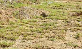 Imagem 4: TERRENO RESIDENCIAL em INDAIATUBA - SP, LOTEAMENTO PARK GRAN RESERVE