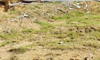 Imagem 2: TERRENO RESIDENCIAL em INDAIATUBA - SP, LOTEAMENTO PARK GRAN RESERVE