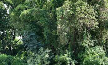 Imagem 3: TERRENO RESIDENCIAL em INDAIATUBA - SP, JARDIM DOS LAGOS