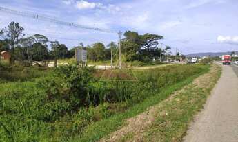 Imagem 5: Terreno de Frente a BR 101, em Balneário Piçarras-SC