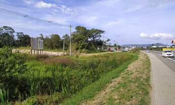 Imagem 3: Terreno de Frente a BR 101, em Balneário Piçarras-SC
