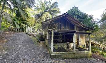 Imagem 6: Sítio com mais de 8mil m² em Benedito Novo-SC