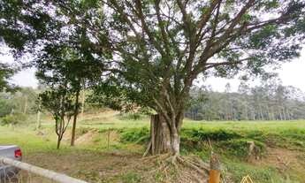 Imagem 6: Área rural para o hotel fazenda