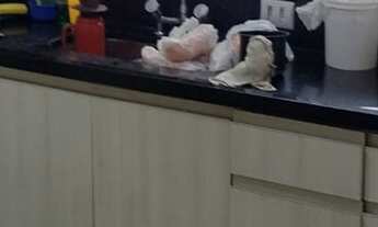 Imagem 4: 3 dormitórios, 2 suíte, 2 banheiro, 150M² de Área Construída, 150M² de Área Total