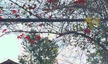 Imagem: Chácara para venda no Bairro Rural Capituvas