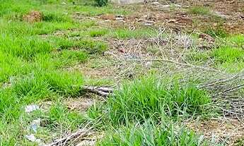 Imagem 4: Terreno RESIDENCIAL em POÇOS DE CALDAS - MG, JARDIM ITAMARATY