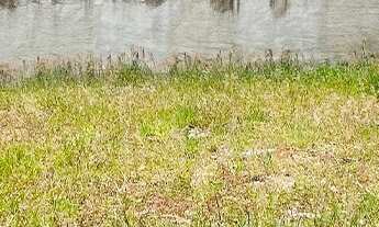 Imagem 2: 160M² de Área Total na Rua Manoel Rocha