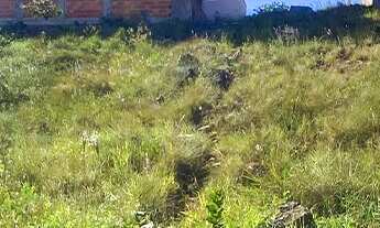 Imagem: 250M² de Área Total