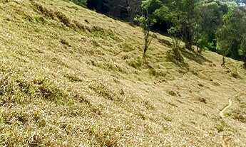 Imagem: Venda de Sítio em Bandeira do Sul