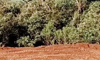 Imagem: Venda de Terreno de chácara em Caldas