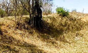 Imagem 3: Venda de terreno em Bandeira do Sul