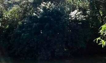 Imagem 3: Chácara para venda em Poços de Caldas - MG