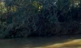 Imagem: Chácara para venda em Poços de Caldas