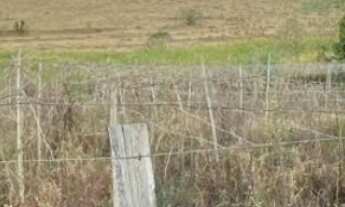 Imagem: Lotes de chácara para venda no Bairro Souza